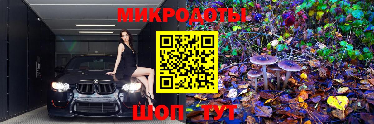 Псилоцибиновые грибы GOLDEN TEACHER Рязань