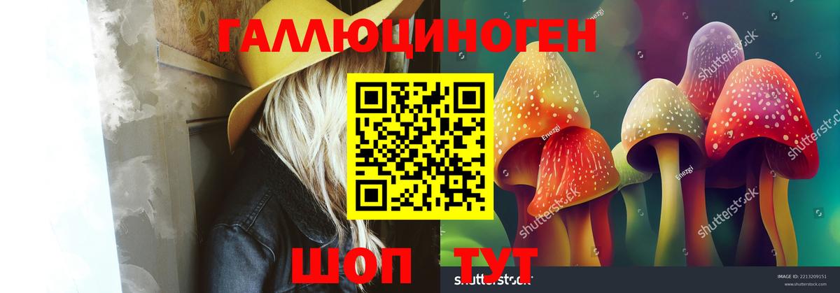 Рязань  Галлюциногенные грибы Psilocybe  Вход с VPN 